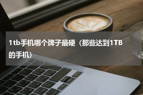1tb手机哪个牌子最硬（那些达到1TB的手机）