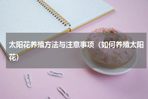 太阳花养殖方法与注意事项（如何养殖太阳花）