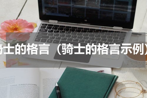 骑士的格言（骑士的格言示例）