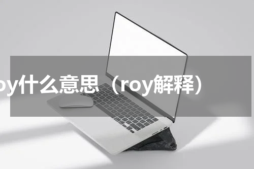 roy什么意思（roy解释）