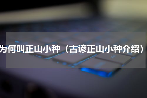 为何叫正山小种（古谚正山小种介绍）