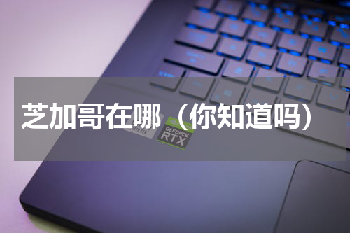 芝加哥在哪（你知道吗）