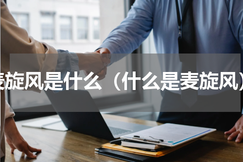 麦旋风是什么（什么是麦旋风）