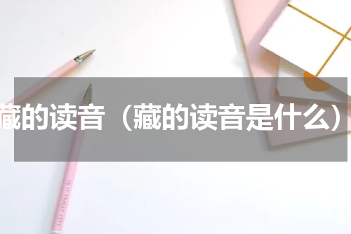 藏的读音（藏的读音是什么）