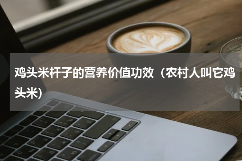 鸡头米杆子的营养价值功效（农村人叫它鸡头米）