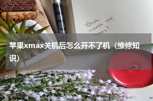 苹果xmax关机后怎么开不了机（维修知识）