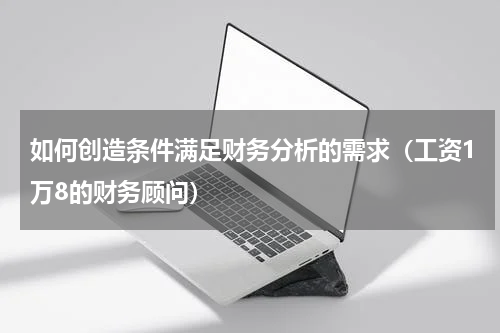 如何创造条件满足财务分析的需求（工资1万8的财务顾问）