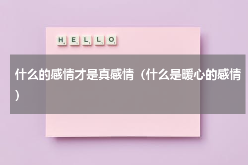 什么的感情才是真感情（什么是暖心的感情）