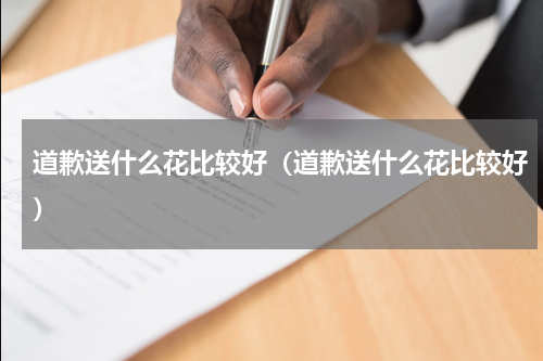 道歉送什么花比较好（道歉送什么花比较好）