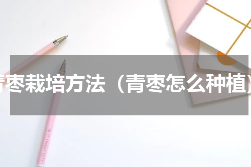 青枣栽培方法（青枣怎么种植）