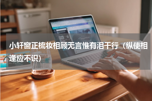 小轩窗正梳妆相顾无言惟有泪千行（纵使相逢应不识）
