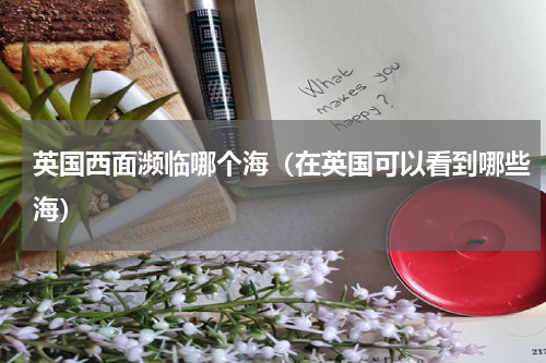 英国西面濒临哪个海（在英国可以看到哪些海）