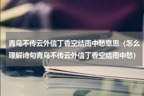 青鸟不传云外信丁香空结雨中愁意思（怎么理解诗句青鸟不传云外信丁香空结雨中愁）