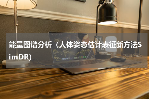 能量图谱分析（人体姿态估计表征新方法SimDR）