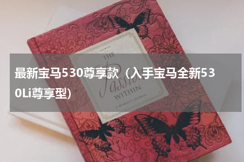 最新宝马530尊享款（入手宝马全新530Li尊享型）