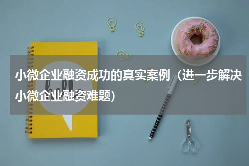 小微企业融资成功的真实案例（进一步解决小微企业融资难题）