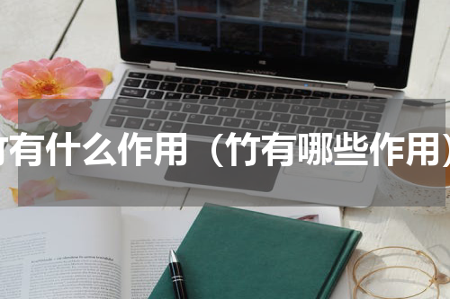 竹有什么作用（竹有哪些作用）