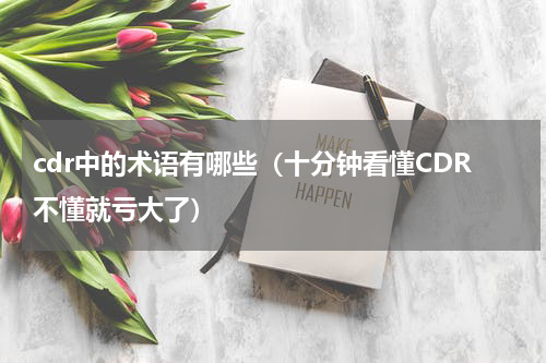cdr中的术语有哪些（十分钟看懂CDR不懂就亏大了）