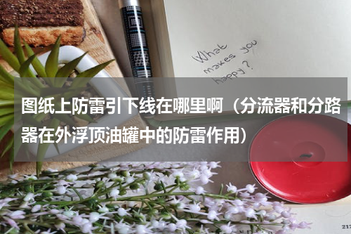 图纸上防雷引下线在哪里啊（分流器和分路器在外浮顶油罐中的防雷作用）