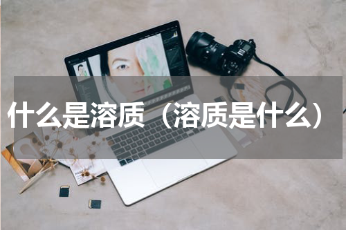 什么是溶质（溶质是什么）