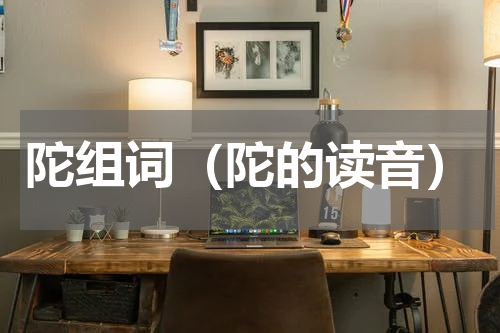 陀组词（陀的读音）