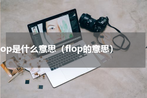 flop是什么意思（flop的意思）