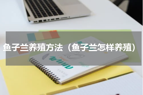鱼子兰养殖方法（鱼子兰怎样养殖）