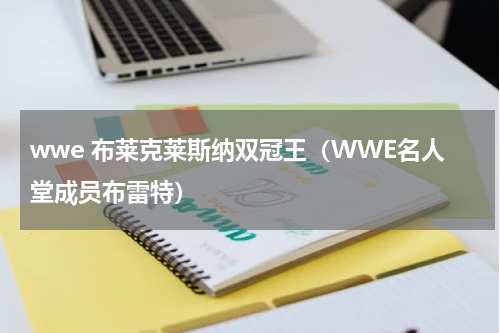 wwe 布莱克莱斯纳双冠王（WWE名人堂成员布雷特）