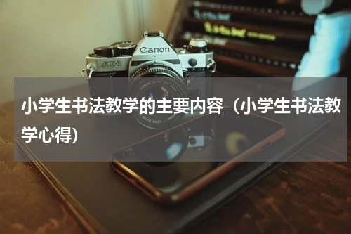 小学生书法教学的主要内容（小学生书法教学心得）
