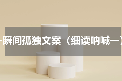 一瞬间孤独文案（细读呐喊一）