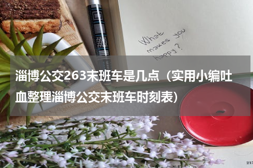 淄博公交263末班车是几点（实用小编吐血整理淄博公交末班车时刻表）