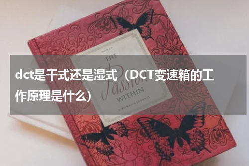 dct是干式还是湿式（DCT变速箱的工作原理是什么）