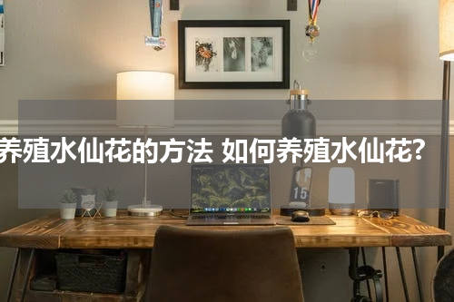 养殖水仙花的方法 如何养殖水仙花?