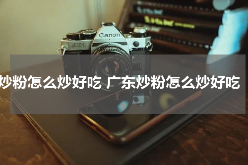 炒粉怎么炒好吃 广东炒粉怎么炒好吃