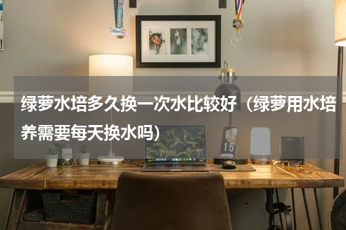 绿萝水培多久换一次水比较好（绿萝用水培养需要每天换水吗）