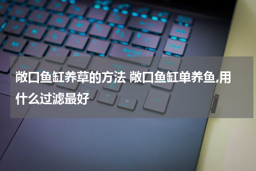 敞口鱼缸养草的方法 敞口鱼缸单养鱼,用什么过滤最好