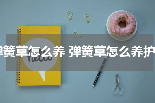 弹簧草怎么养 弹簧草怎么养护