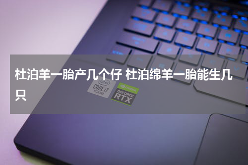 杜泊羊一胎产几个仔 杜泊绵羊一胎能生几只