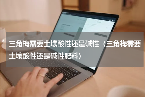 三角梅需要土壤酸性还是碱性（三角梅需要土壤酸性还是碱性肥料）