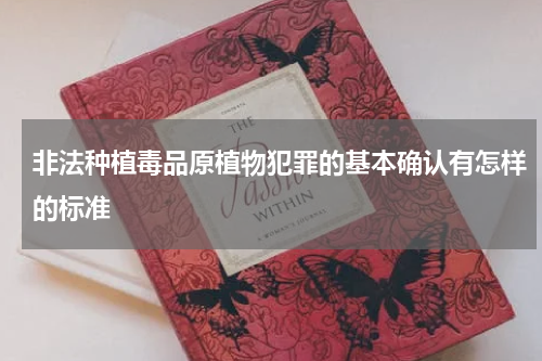 非法种植毒品原植物犯罪的基本确认有怎样的标准