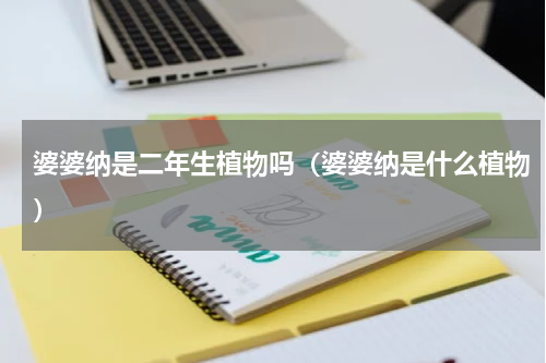 婆婆纳是二年生植物吗（婆婆纳是什么植物）