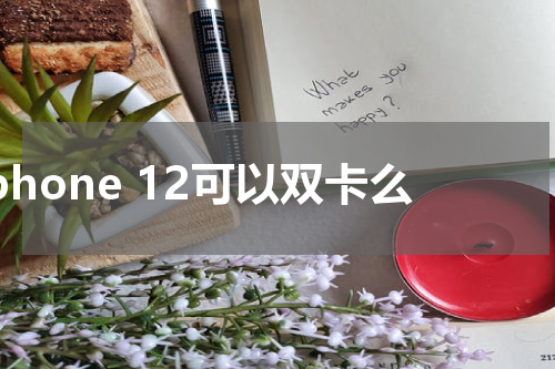 iphone 12可以双卡么