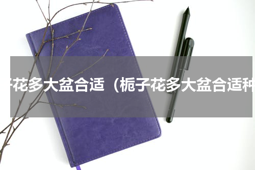 栀子花多大盆合适（栀子花多大盆合适种）