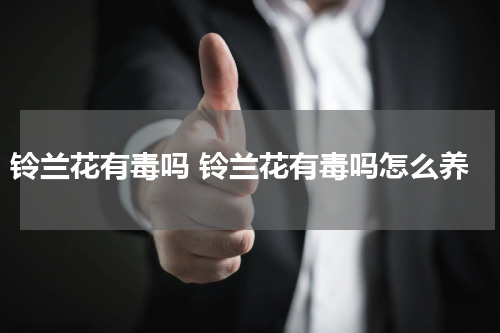铃兰花有毒吗 铃兰花有毒吗怎么养