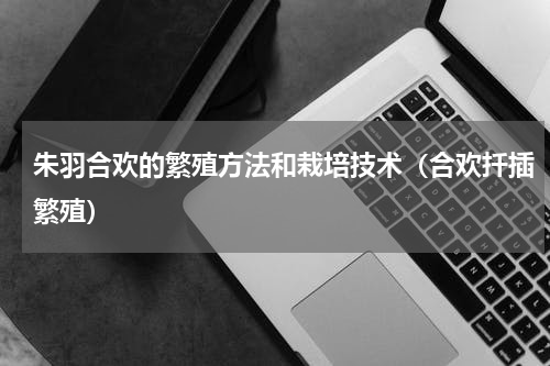 朱羽合欢的繁殖方法和栽培技术（合欢扦插繁殖）
