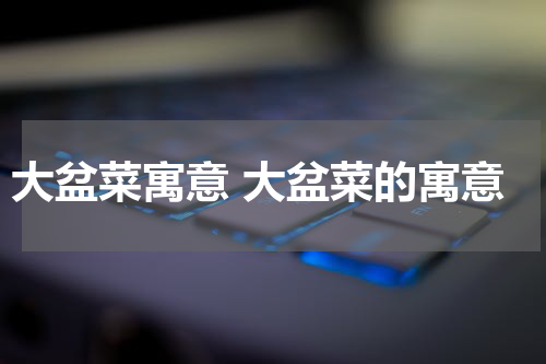 大盆菜寓意 大盆菜的寓意