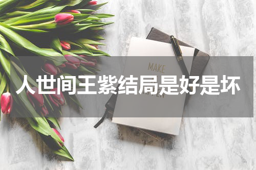 人世间王紫结局是好是坏