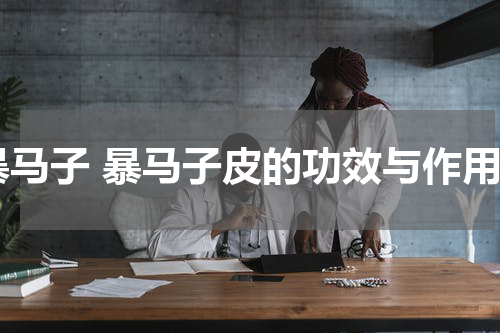 暴马子 暴马子皮的功效与作用