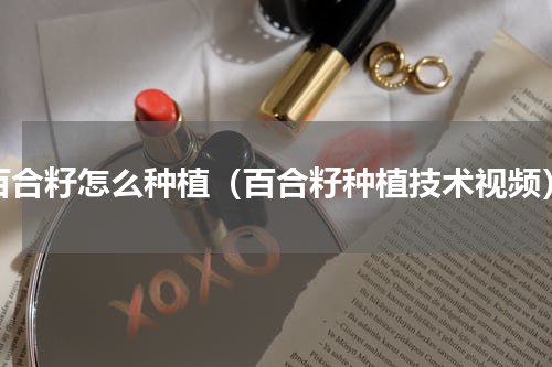 百合籽怎么种植（百合籽种植技术视频）