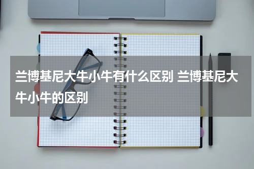 兰博基尼大牛小牛有什么区别 兰博基尼大牛小牛的区别